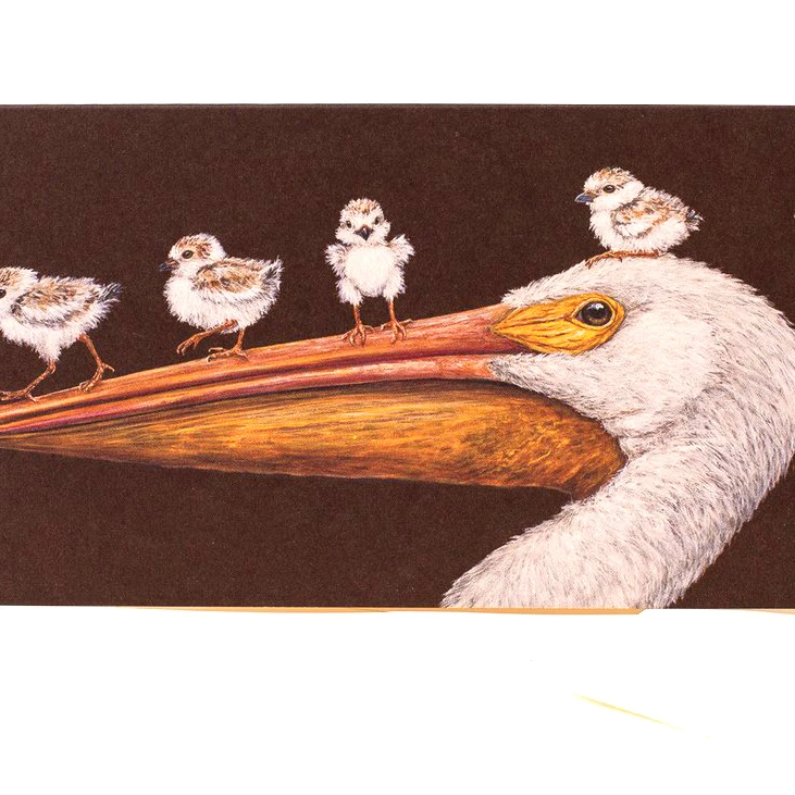 The Pencil Factory Vicki Sawyer Flight School Pelicans 6 x 3.25 Blank Greeting Card With Envelope Made In USA
