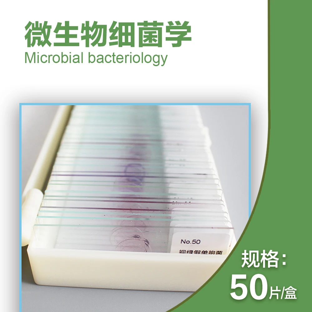 Микроскопы для микроскопа 50 шт.|microscope slides|slides microscopemicroscope specimens |