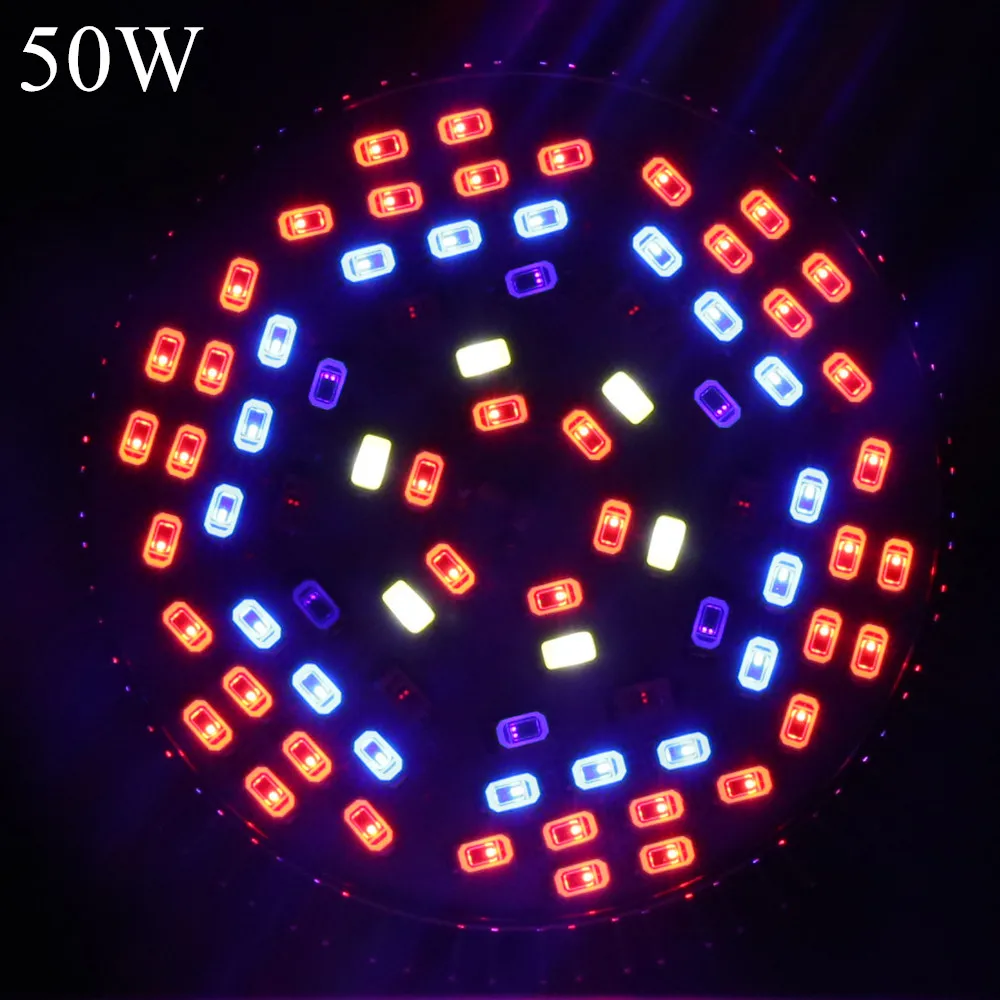 50W