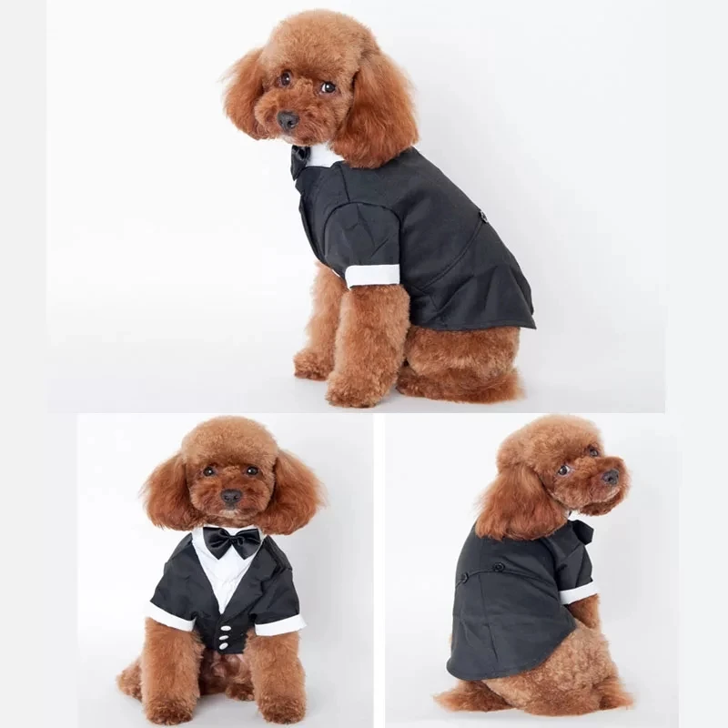 Bigeyedog Boy Dog Suit Wedding Costume Male Dog Clothes Pug French Bulldog Clothes Tuxedo Pet