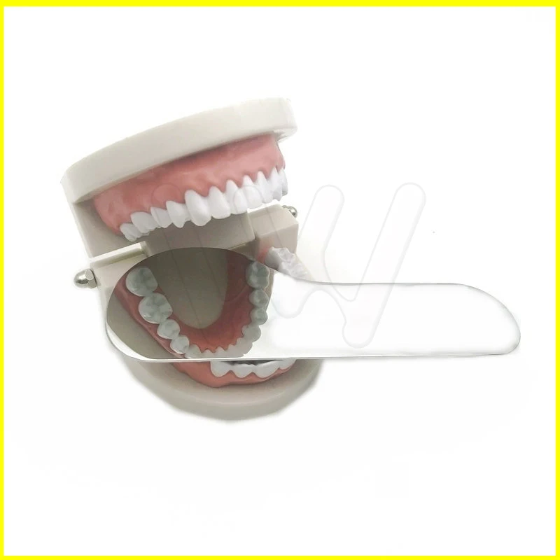 Dental Orthodontic Intra-oral Mirror Photographic Reflector Stainless Steel Reflection Mirror (1)