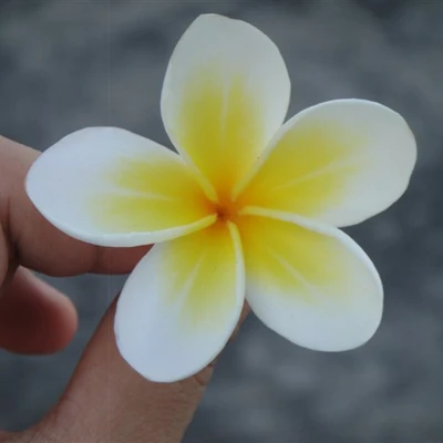 Seashore Beach Artificial Plumeria Foam Flower Hair Clips 3 Sizes Barrettes Women Headwear Hair Accessories hair clips for thick hair Hair Accessories