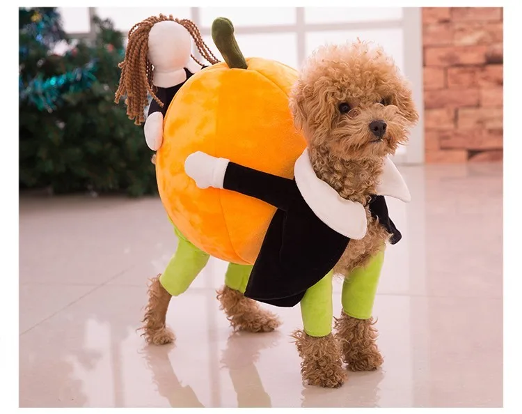 new funny pumpkin dog costumes halloween novel pumpkin pet coat fleece small dog super cute costumes - Halloween Costume For Small Dogs new funny pumpkin dog costumes halloween novel pumpkin pet coat fleece small dog super cute costumes - Halloween Costume For Small Dogs