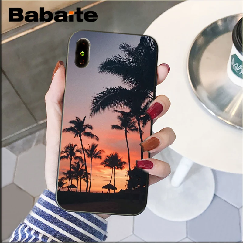Summer popular Beach Ocean Coconut Trees
