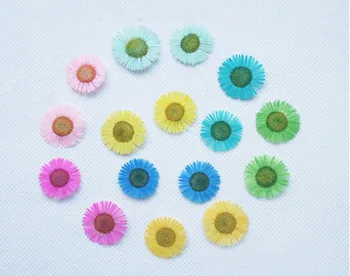 

120pcs Pressed Dried Chrysanthemum Flower Plants Herbarium For Wedding Party Home Pendant Necklace Craft DIY Accessories