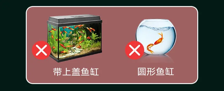 未标题-6