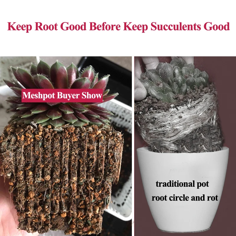 Meshpot 5PCS Plastic Succulents Pot Breathable Square Nursery Pot Succulent Planter Cactus Plant Pot Flower Pot