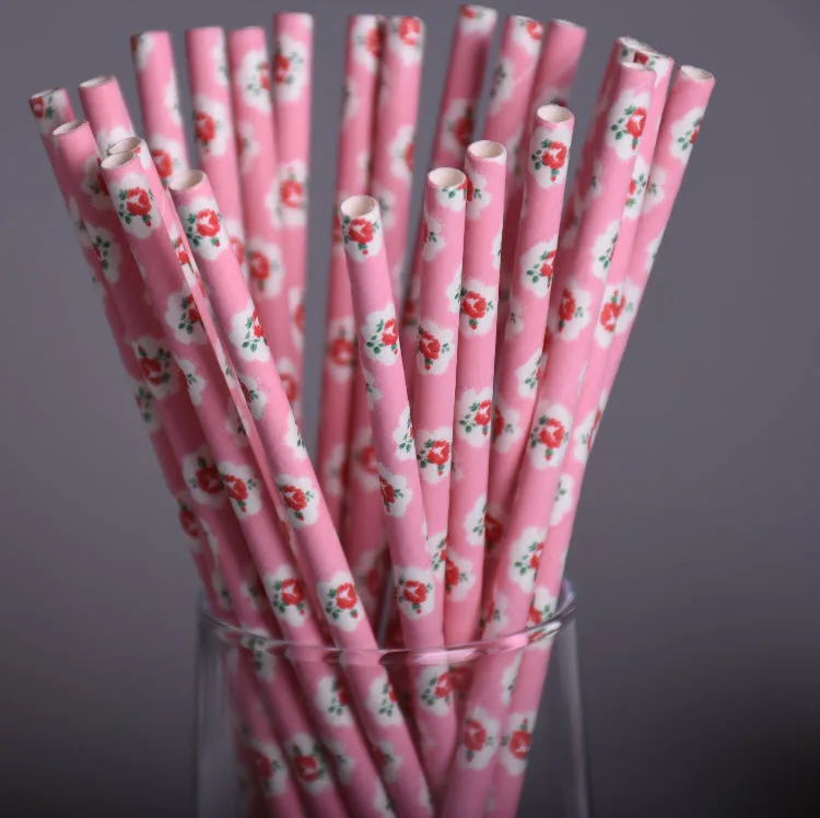 25pcs/lot Chevron Paper Straws Biodegradable Pink Vintage Retro Floral