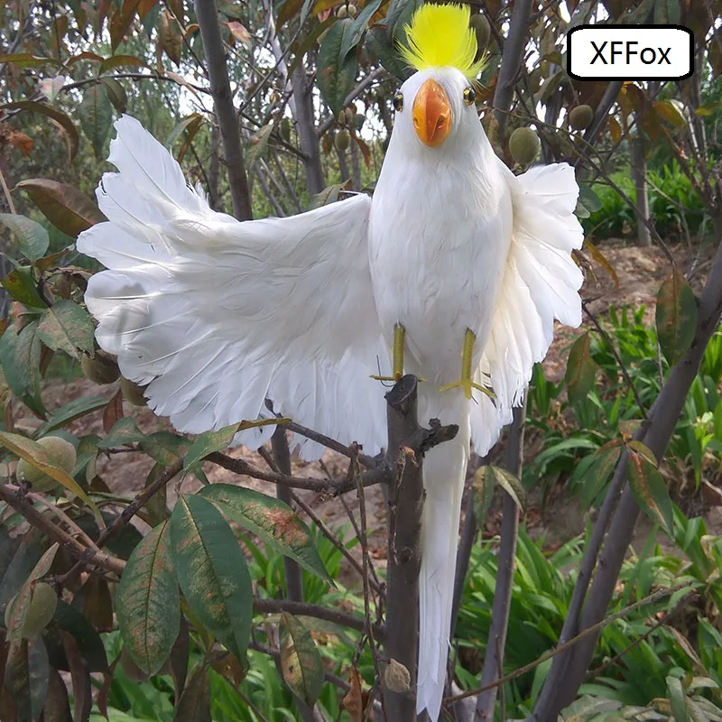 HTB1w9DwSpXXXXbXXVXXq6xXFXXXT