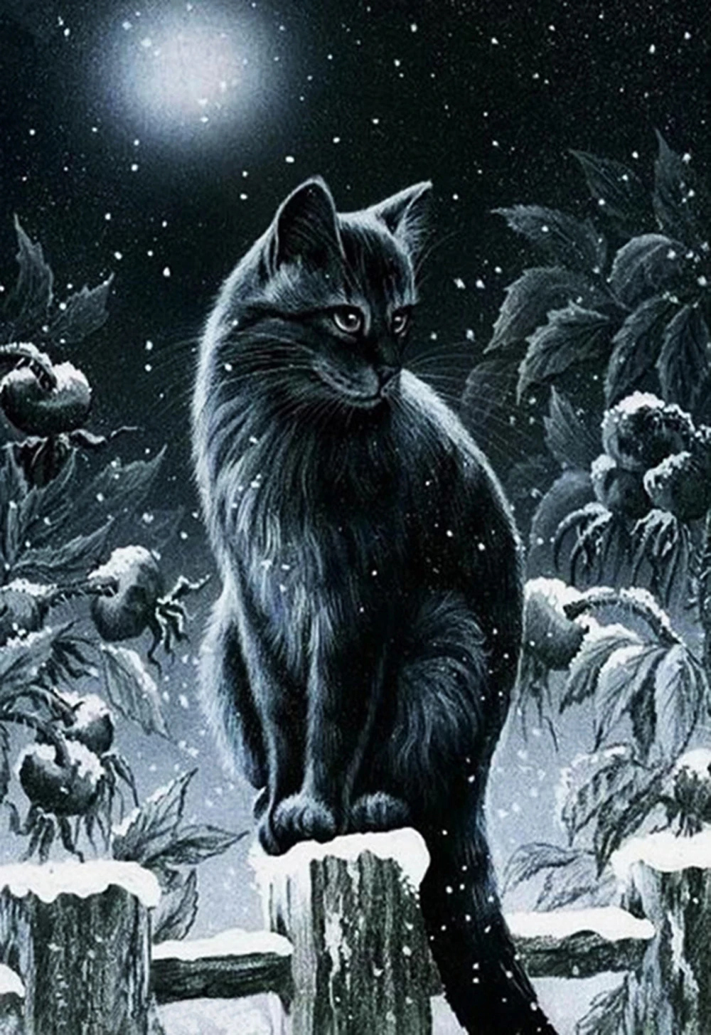 

5D DIY Diamond Paintings Full Round Animals Moon and Cat Mosaic Art Cross Stitch Crystal Kits Embroidery Sticker Decoration Home