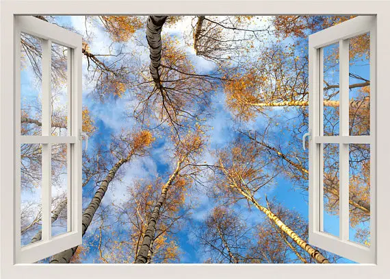 il_570xN.1268477947_q3nl