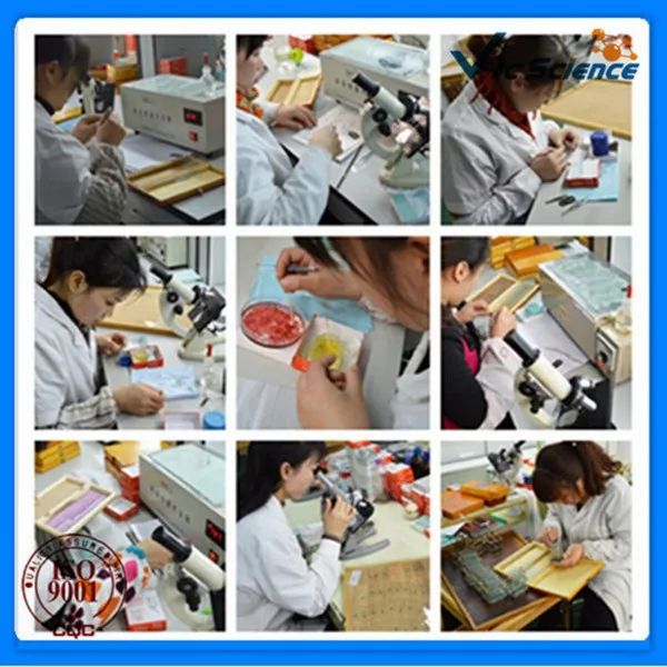 zoology histology slides