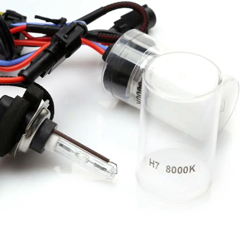 XLT bulb 05