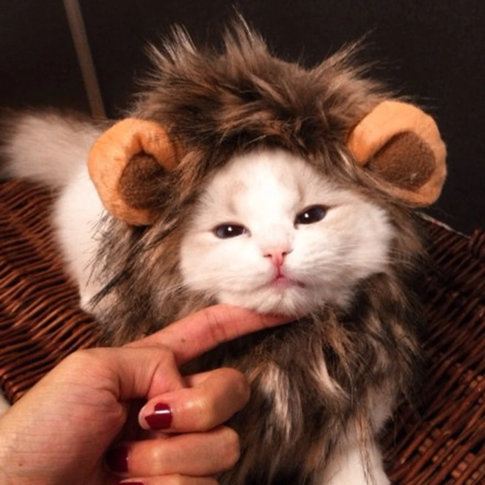

Funny Pet Cat Cosplay Lion Wig Cap Hat for Cat Halloween Christmas Party Dress Up With Ear Pet Apparel Cat Fancy Dress