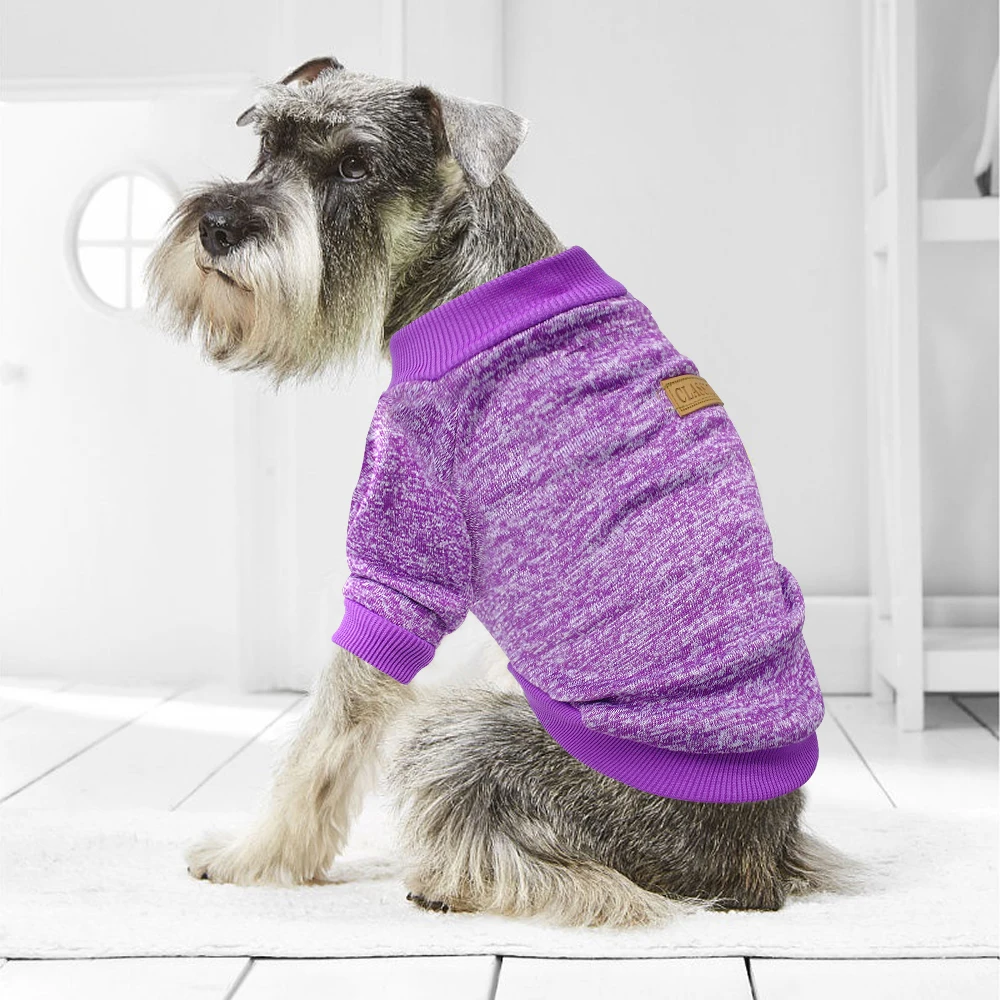 HTB1VXsGXoLrK1Rjy1zbq6AenFXa2