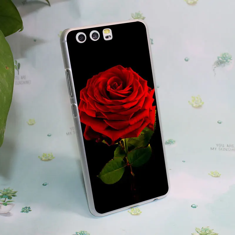 Wallpapers Hd Arctic Monkeys<br/>