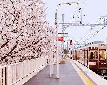 We129209