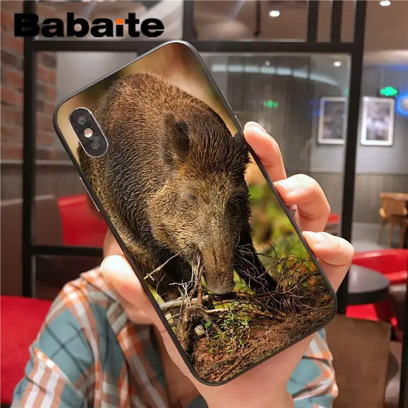 Wild Boar pig animal