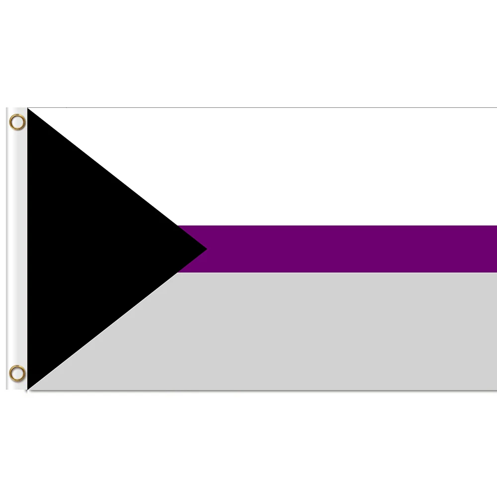 

Demisexual Flag 3x5 ft Printed Polyester Large Gay Pride LGBT Flag