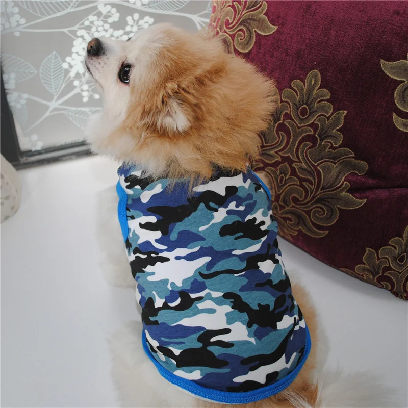 10559634993_361259826