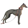 Pet Dog Greyhound Simulation Animal Model Action & Toy Figures Classic Toys for Children Gift Collection ► Photo 2/6