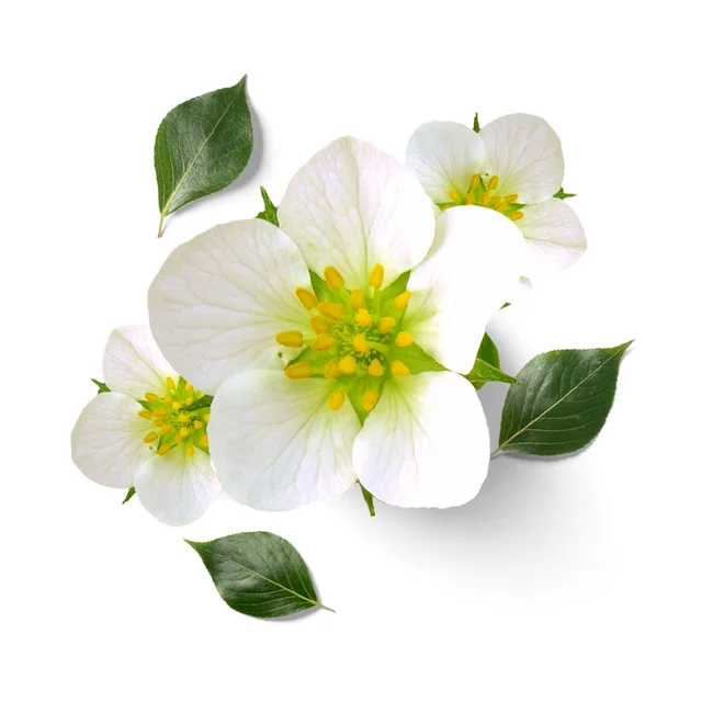 Zttzdy 20,6*20,8 Cm Virágszirmok Modern Falmatricák Gyerekszobáknak Fürdőszoba Wc-Dekoráció Matrica T2-0062 - Image 5