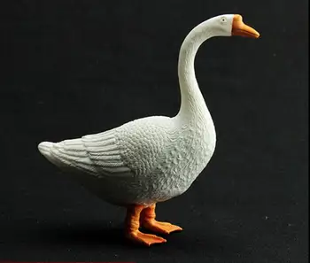 

Vinyl PVC Simulation Goose/rabbit /chicken Model White Goose Decoration teaching model