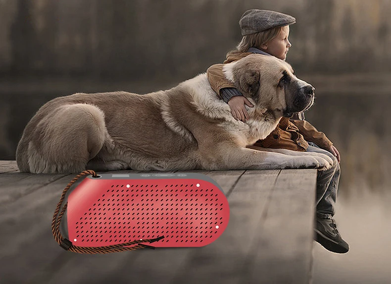 Беспроводной Bluetooth динамик 10 Вт Водонепроницаемый Колонка стерео сабвуфер Портативный