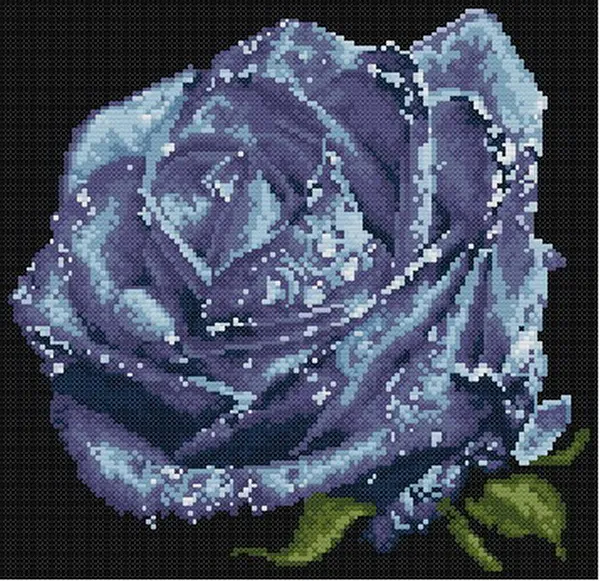 cs1137 HG001     126X122X15