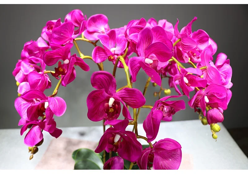 Индиго- 100 шт орхидеи фаленопсис шелк Настоящее прикосновение цветок искусственный цветок Свадебные цветы орхидеи, Цветочный