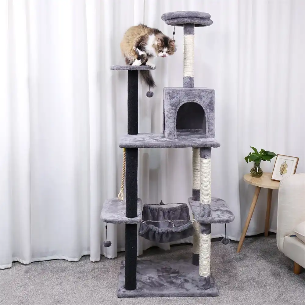 kitten climbing frame