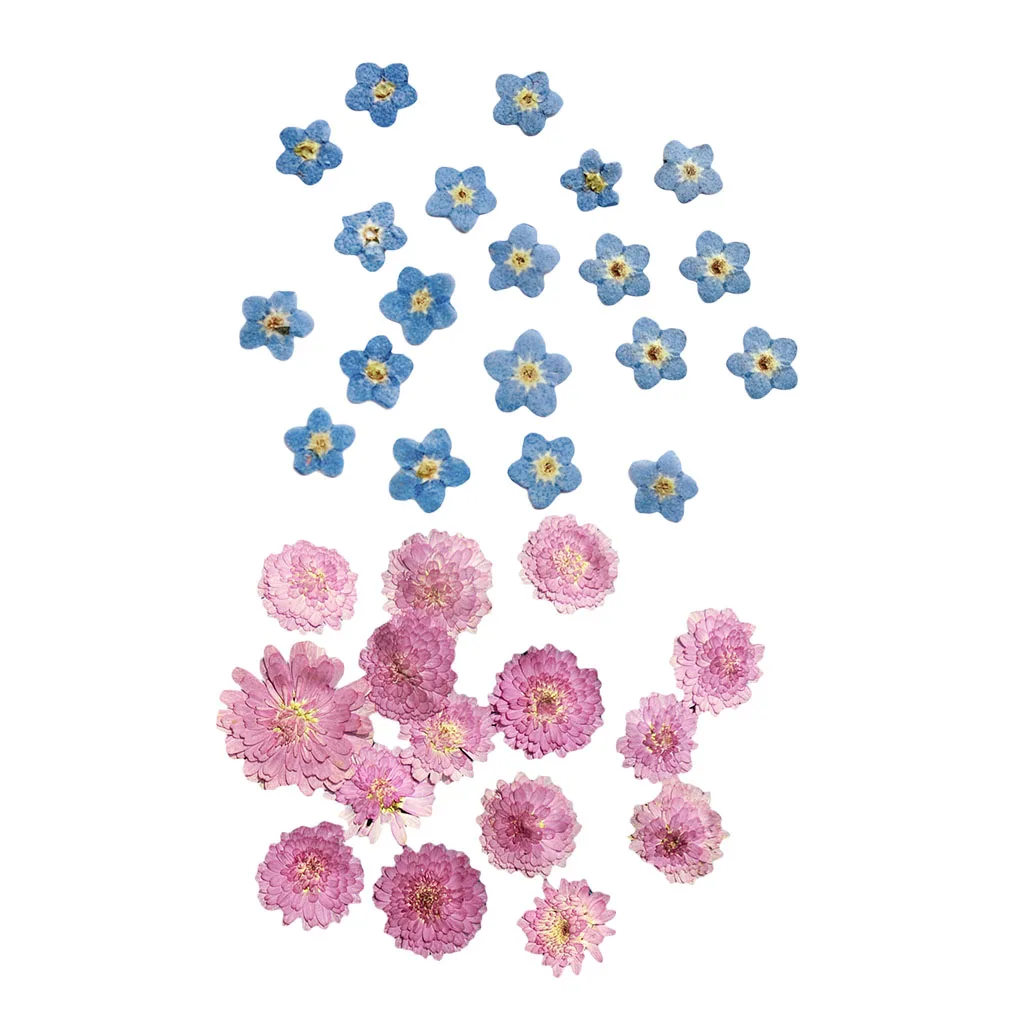 20x Pressed Dried Flower Dry Leaves for DIY Craft Bookmark Cards Making