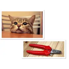 Машинка для стрижки животных Кошачий коготь nailclippers ножницы и щипчики для ногтей Резак для животных кусачки для ногтей из нержавеющей стали