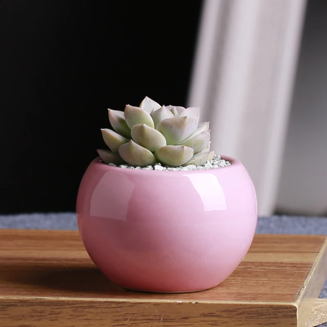 OLOEY Planter Flowerpot Little Plant Pots Maceteros Succulent Plants