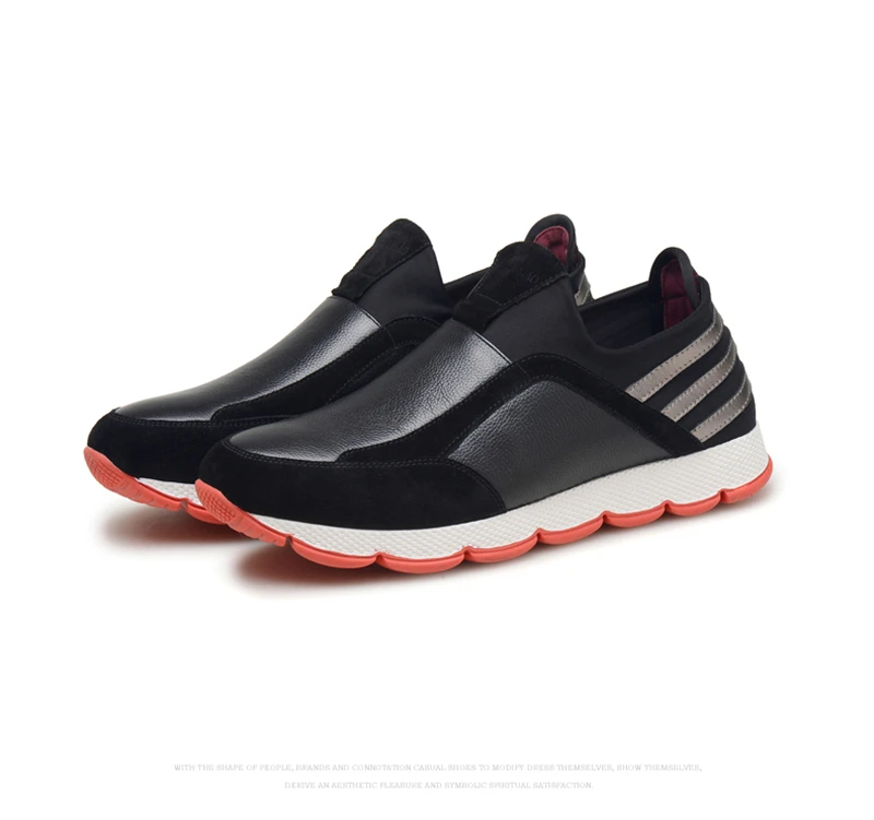 790 (34)