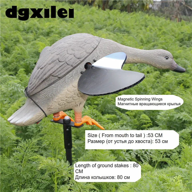 Duck Hunting (3)