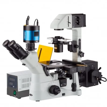 fluorescence-microscope-IN480T-FL-MF603
