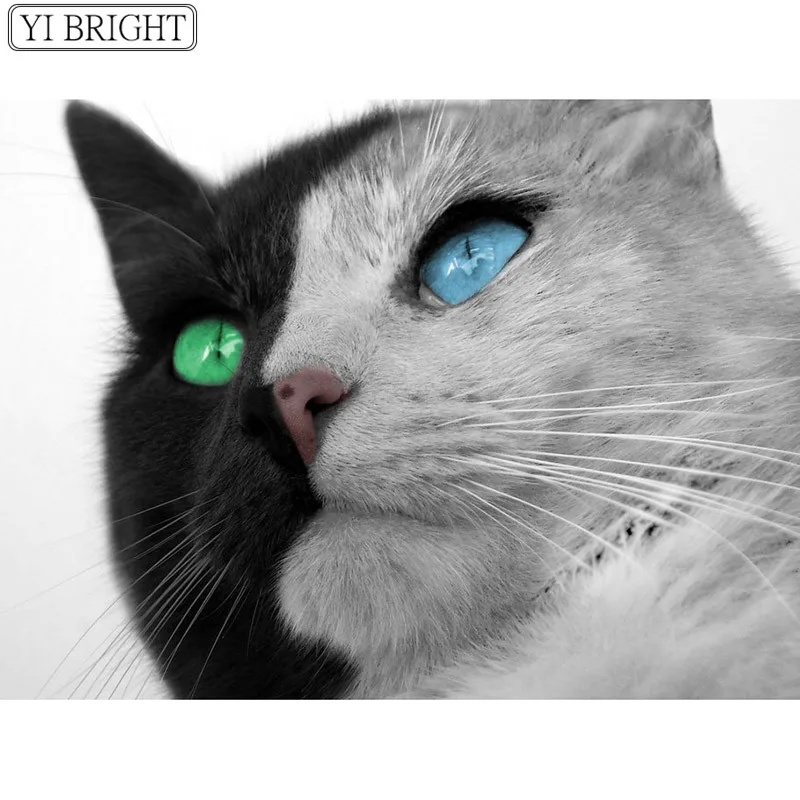 

5D DIY diamond painting cross stitch Black gray cat Full Square Diamond embroidery Needlework Rhinestone Mosaic decor