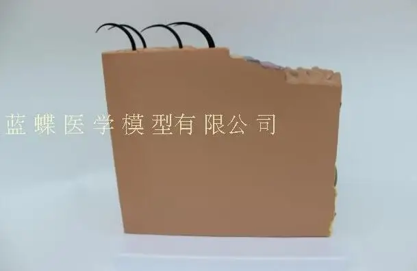 QQ20180918212034