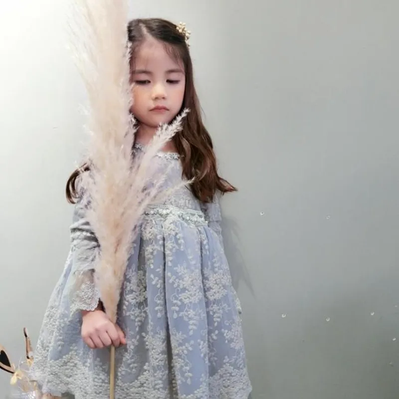 DFXD Kids Girls Princess Dress Spring Autumn 2018 High Quality Long Sleeve Lace Embroidered A-line Girl Dresses Vestido 2-8Years DFXD Kids Girls Princess Dress Spring Autumn 2018 High Quality Long Sleeve Lace Embroidered A-line Girl Dresses Vestido 2-8Years