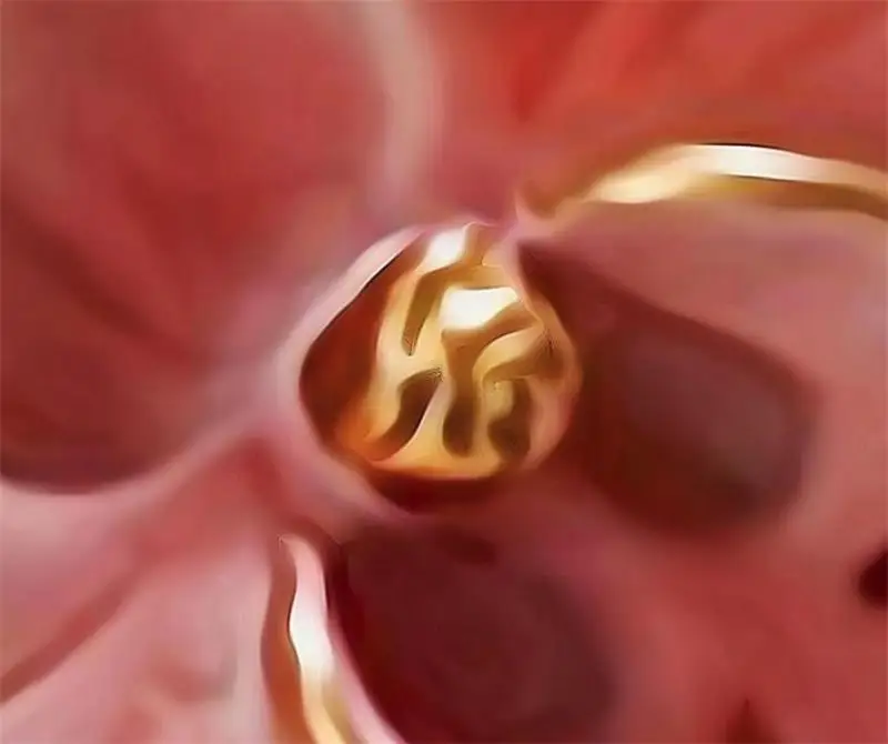 36020180804222340998