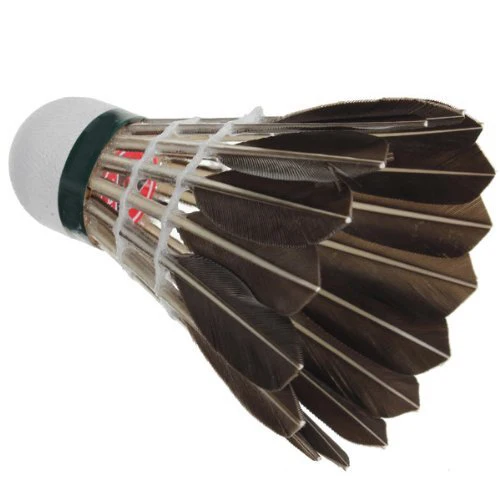 ELOS-12x تدريب أسود غوس الريشة الكرات العصافير الريشة الكرات ELOS-12x تدريب أسود غوس الريشة الكرات العصافير الريشة الكرات