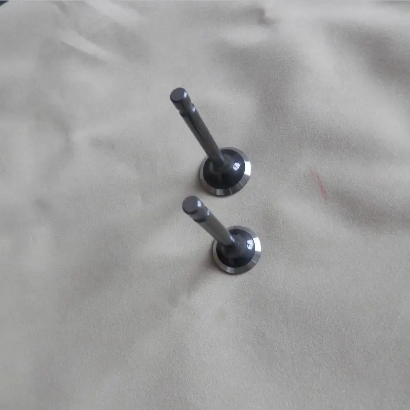 GT400 EX&IN VALVE MITSUBISHI GM132 1