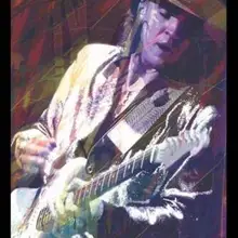 Стиви Рэй вон-гитары мастер-Дэвид Ллойд для перчаток шелк постер декоративная стена краска 24x36 дюймов