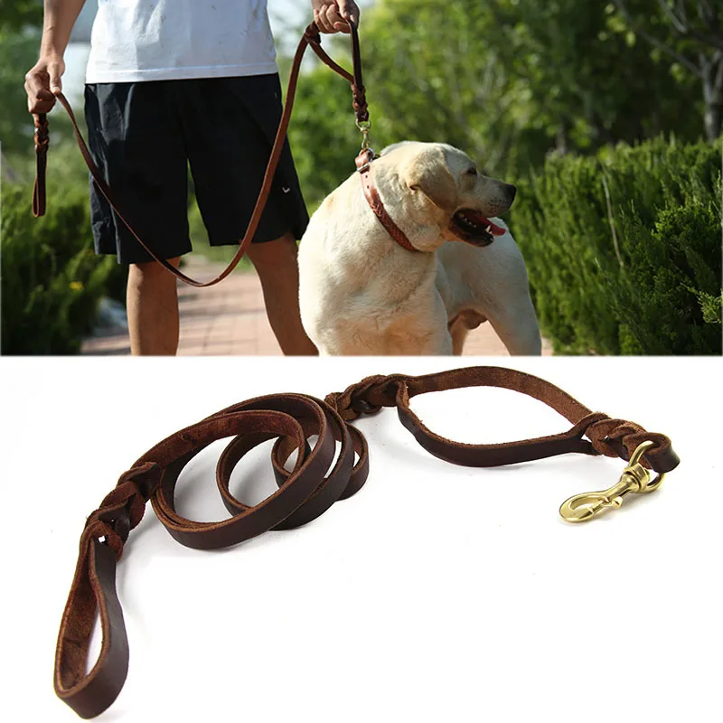 leather double dog leash