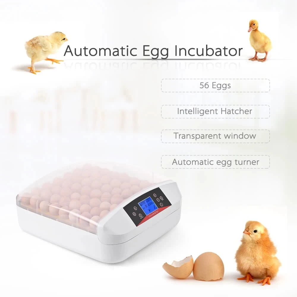A All-In-One Intelligent Full-automatic Egg Incubator Hatcher 56 Eggs Hatching Machine for Chicken Duck Transparent Plastic A All-In-One Intelligent Full-automatic Egg Incubator Hatcher 56 Eggs Hatching Machine for Chicken Duck Transparent Plastic