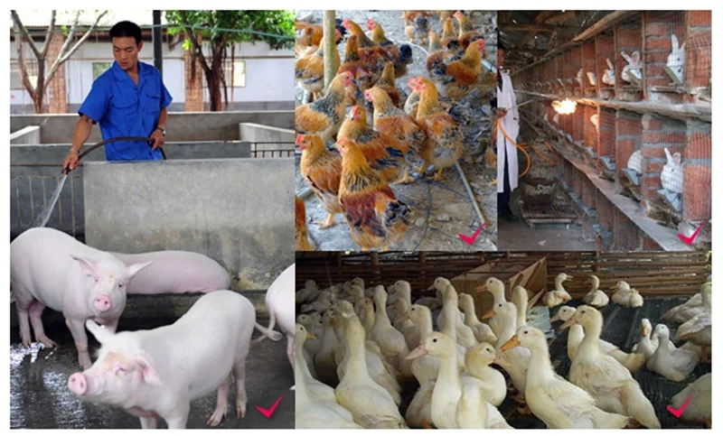 3072443422_1614622480