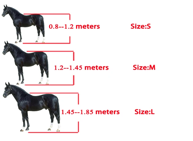 bridle size