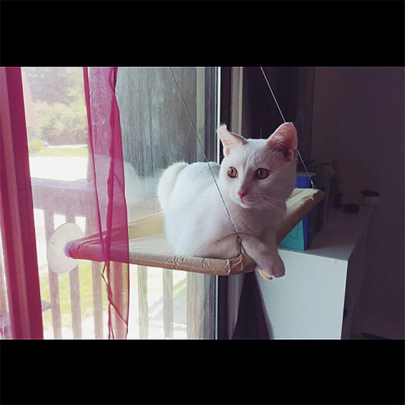  55*35cm Pet Supplies Hanging Beds Bearing 20kg Cat Sunny Seat Window Mount Cat Hammock Comfortable 