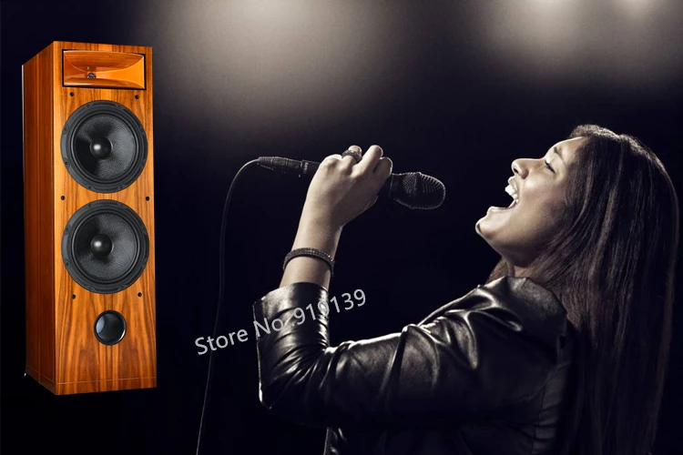 WF2-1000F Floor Stand Speaker pic 9